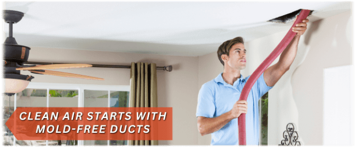 Air Duct Mold Removal in Baytown TX