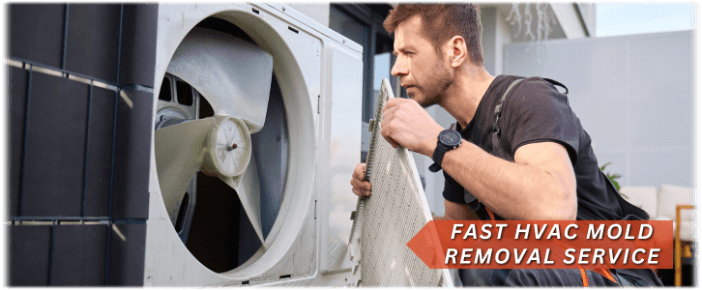 HVAC Mold Removal Baytown TX
